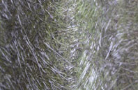 Llanddwywe fibreglass roof work